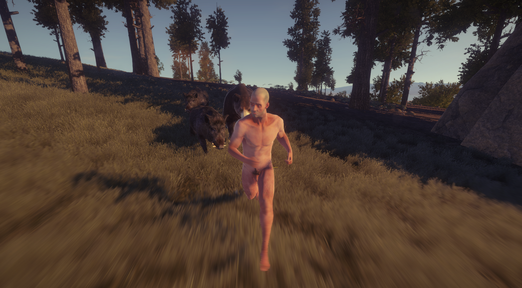 Sex Rust Game Starting Character porn images friday devblog rust, the naked...