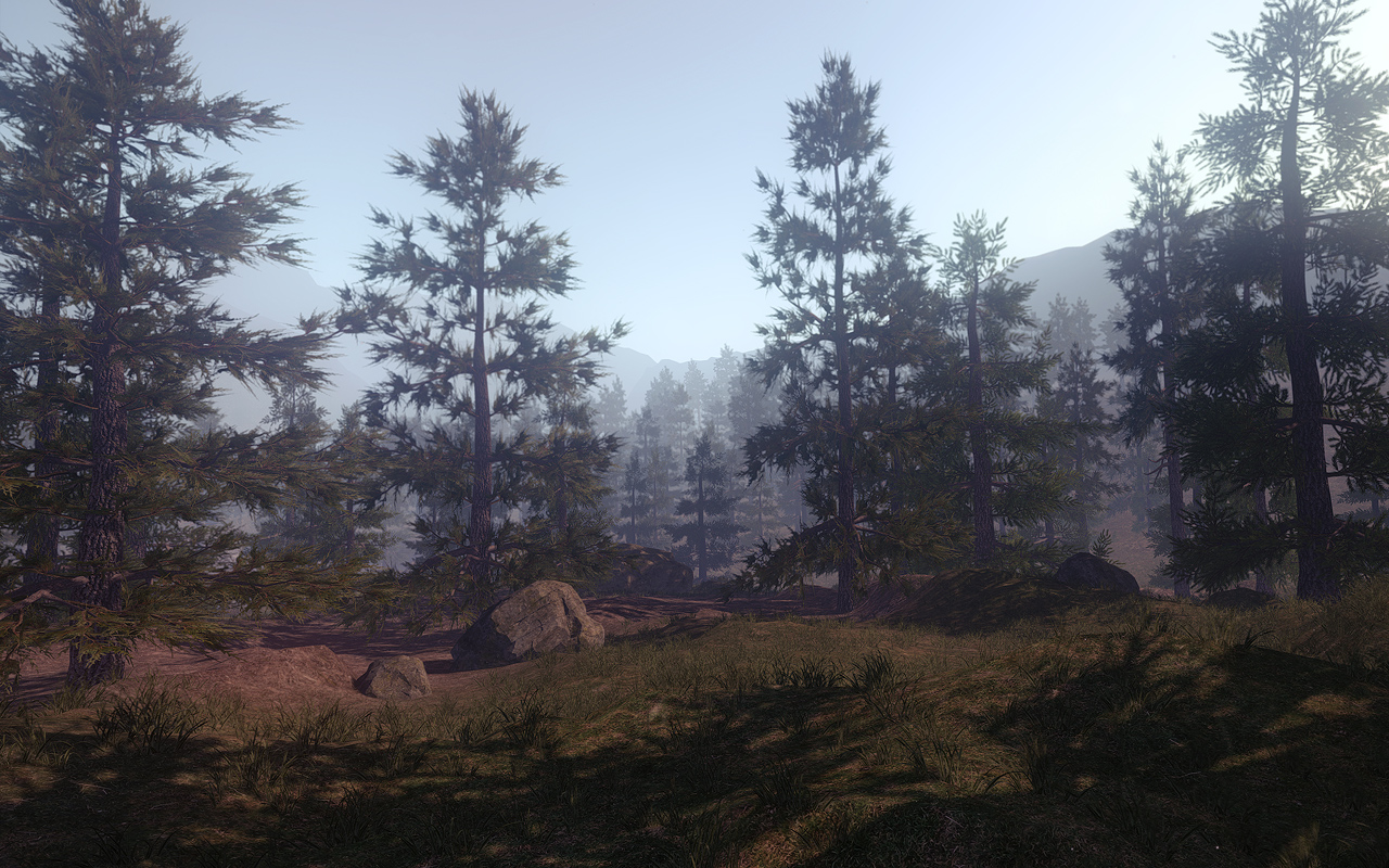 http://files.facepunch.com/petur/2014/05/forest3.jpg