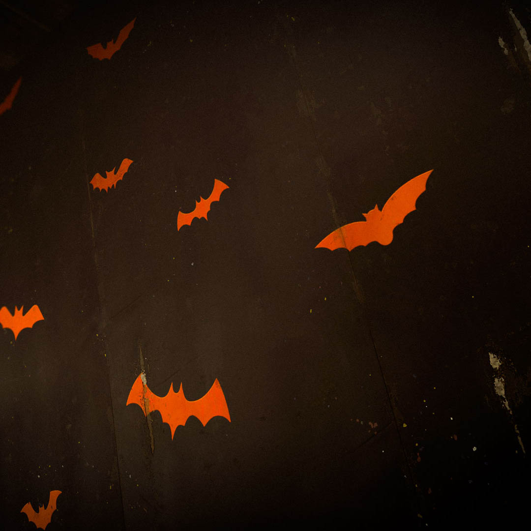 Halloween Bats