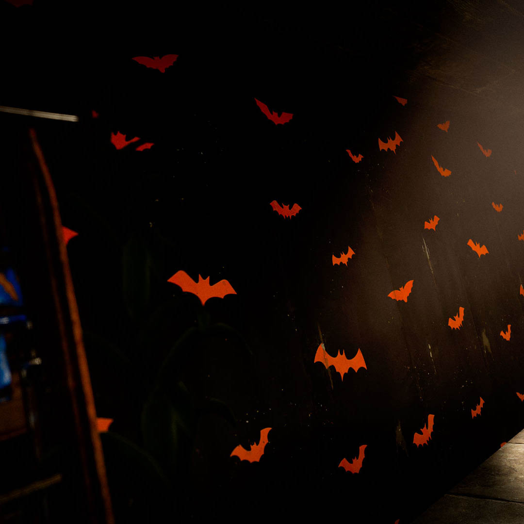 Halloween Bats