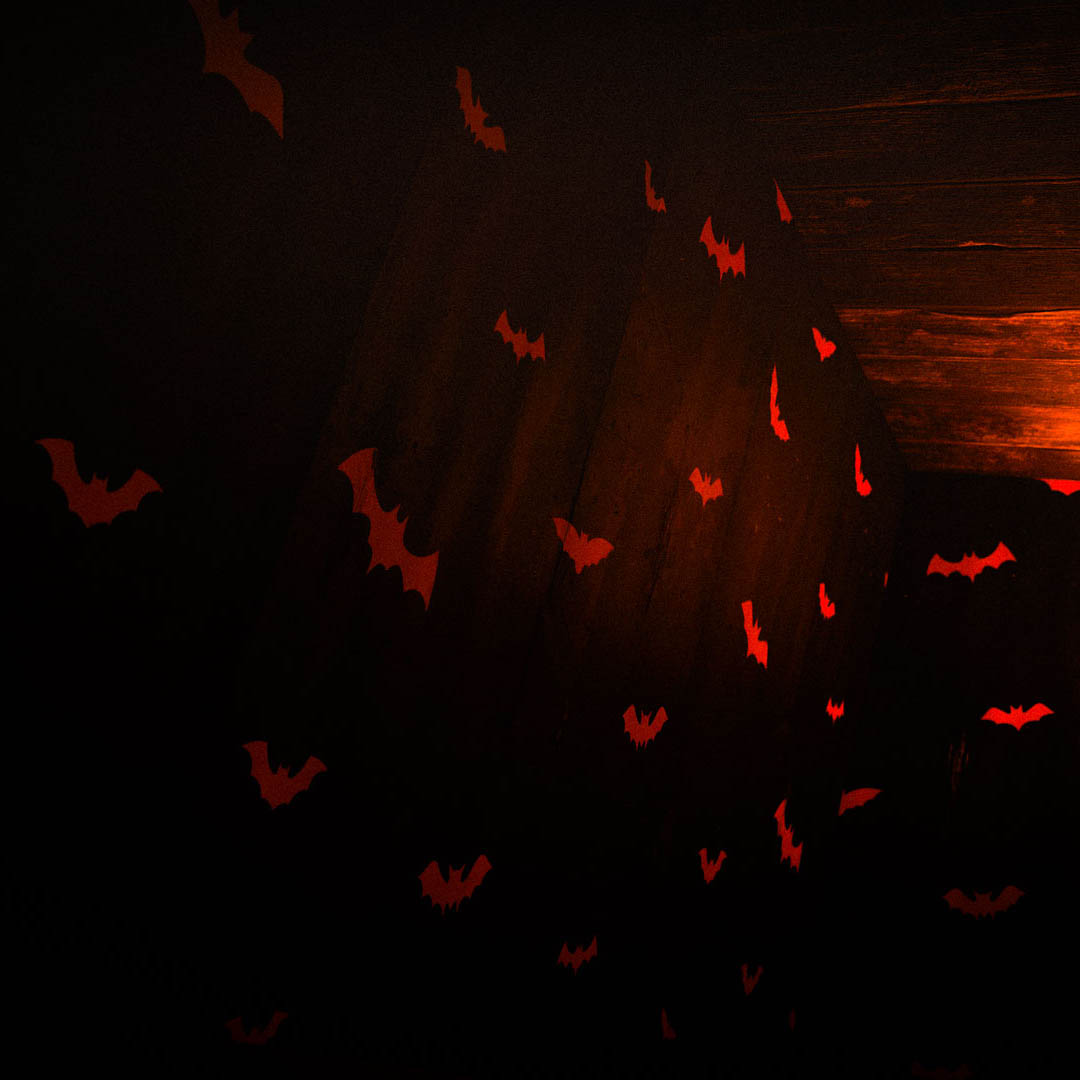 Halloween Bats