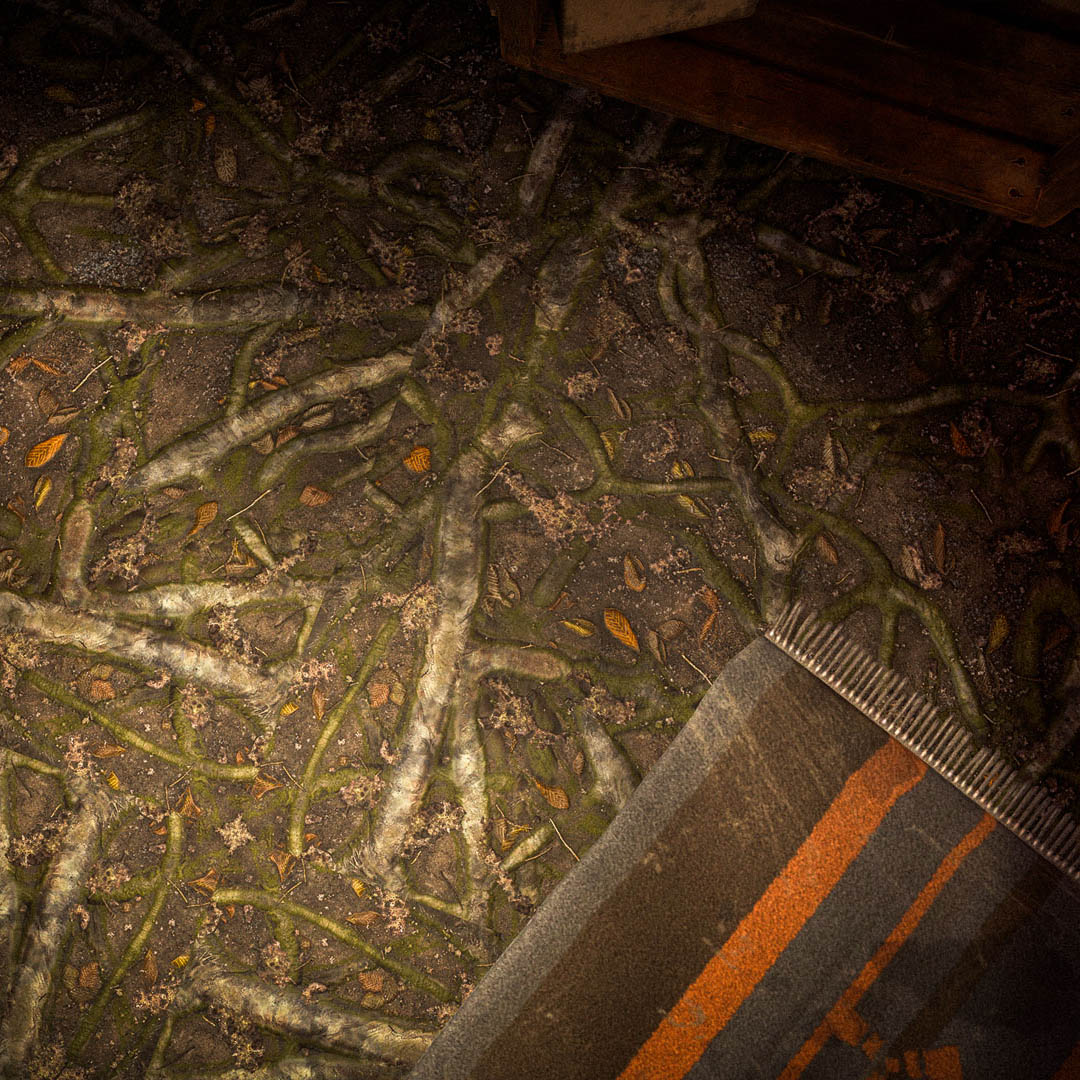 Tree Roots