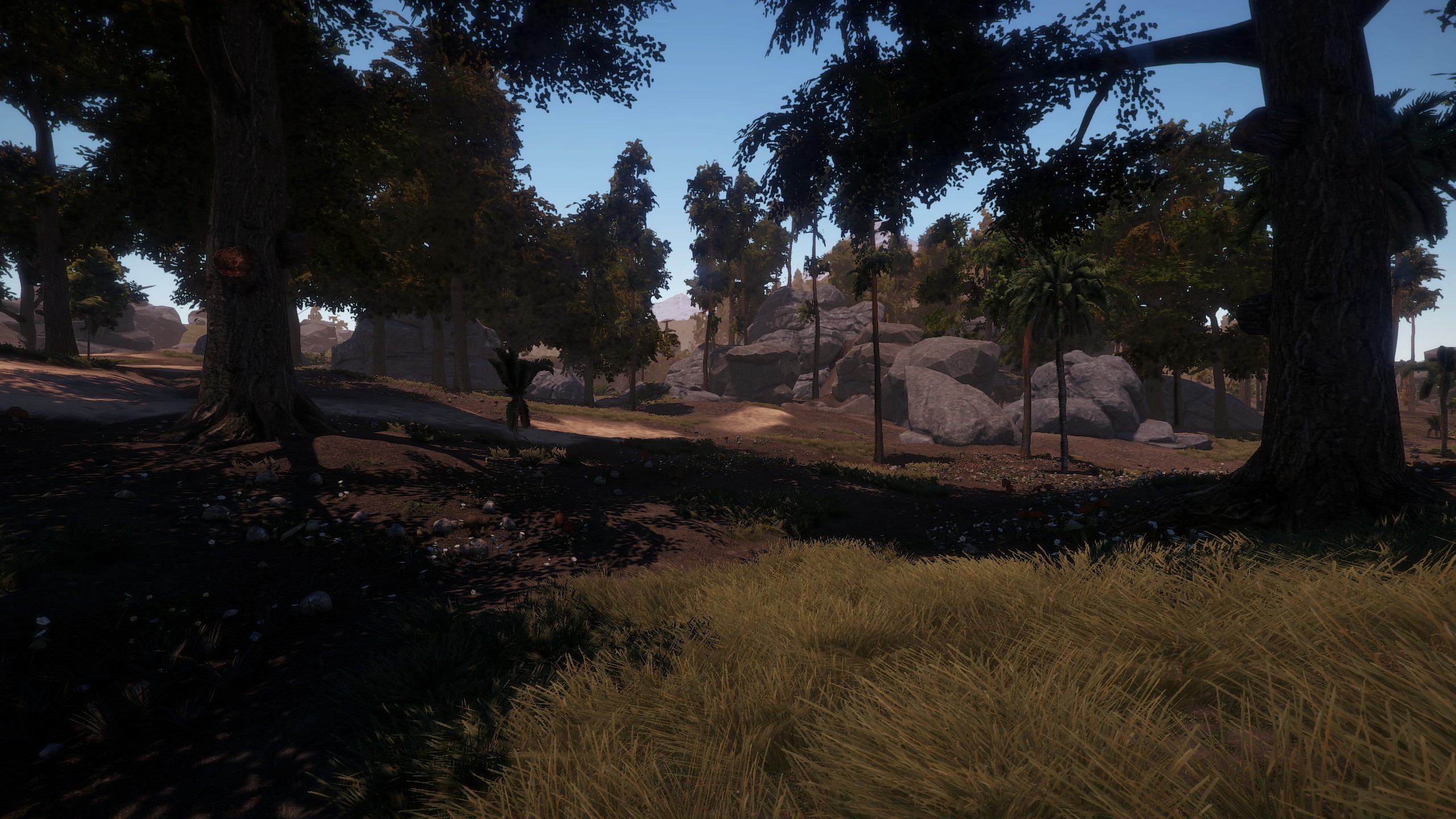 Rust или forest фото 76