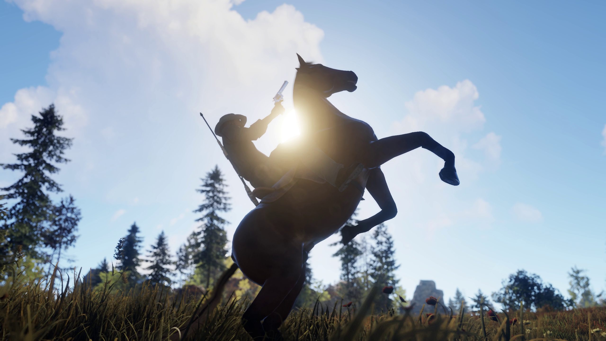 All information covering the horses in Rust
