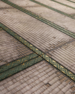 Tatami Icon
