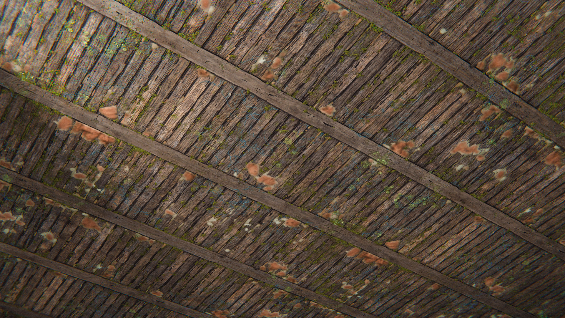 Foxfire Fungi Ceiling