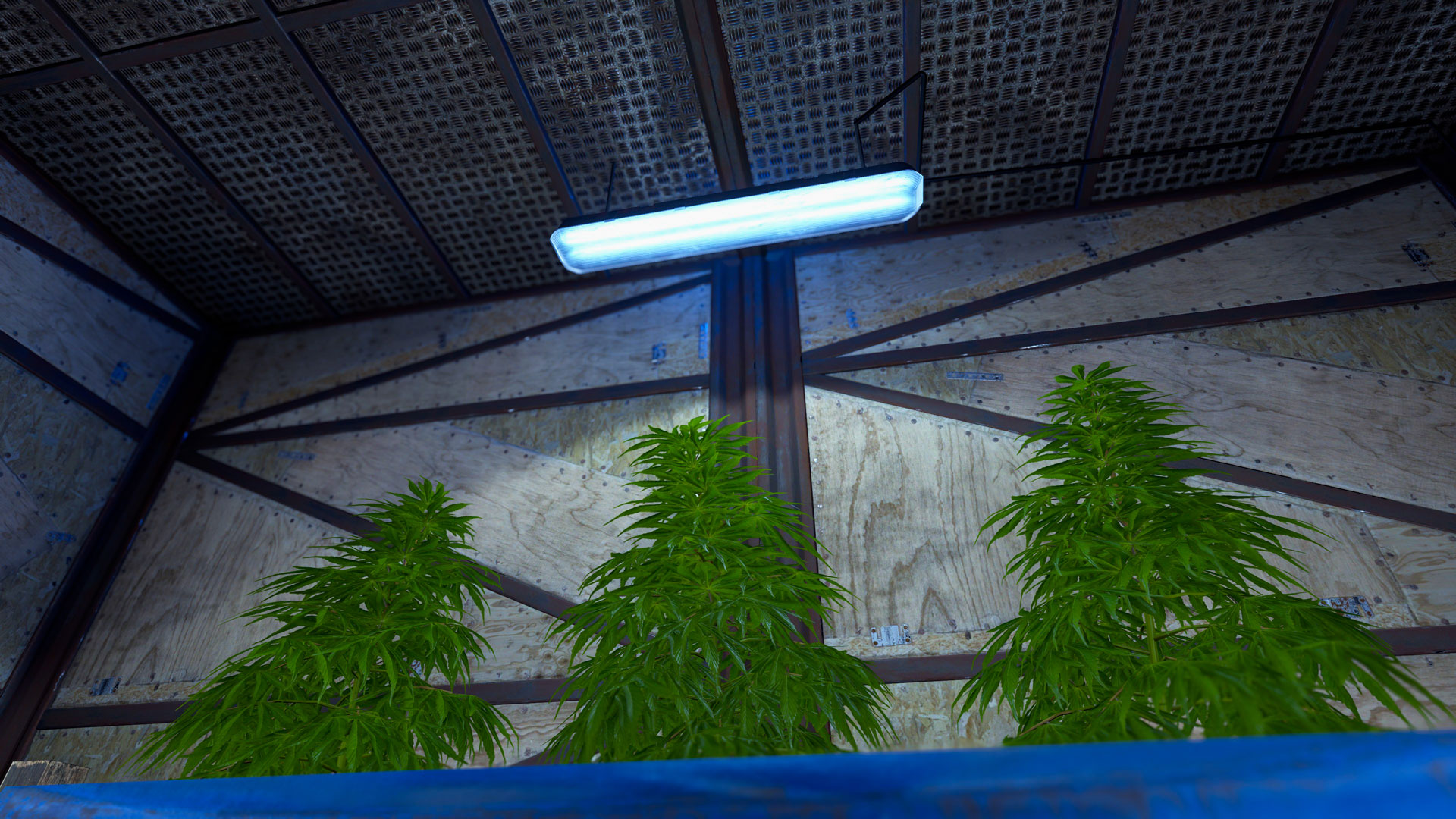 Ceiling Fluorescent Light