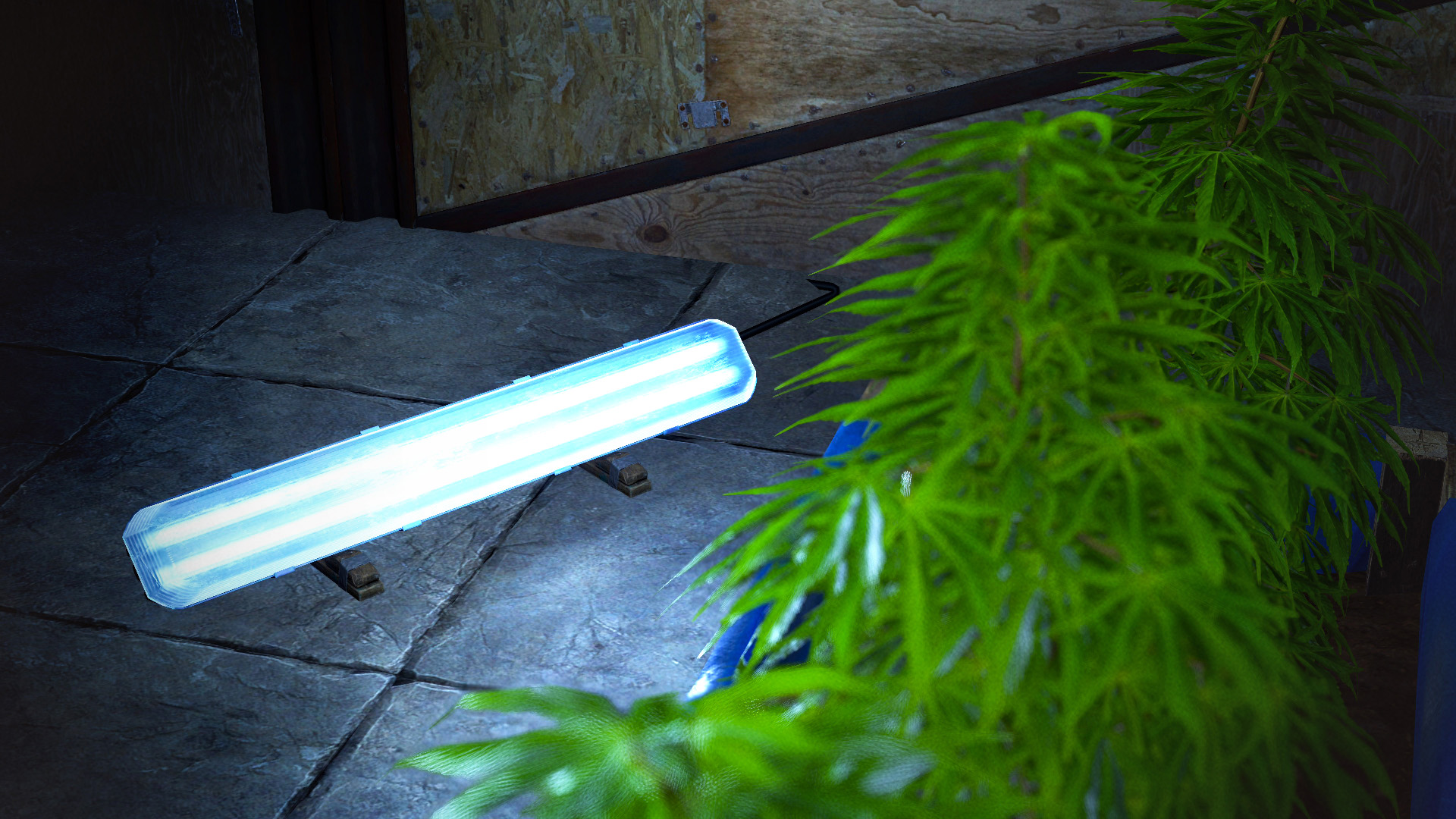 Fluorescent Light
