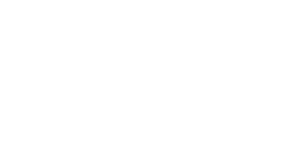 Officially Licensed Warhammer Product