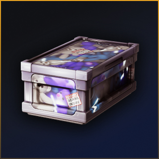 Large Wood Box