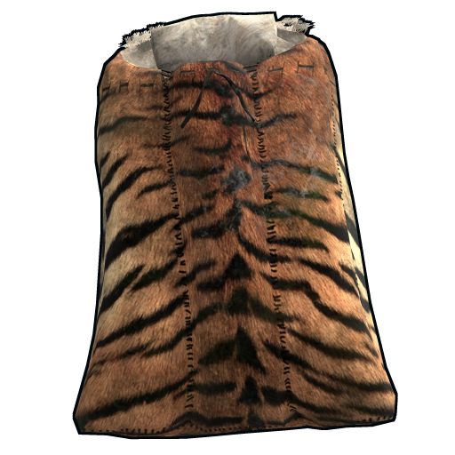 Sleeping Bag