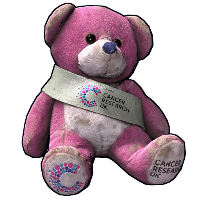 Cancer Research UK Plushie in Rust