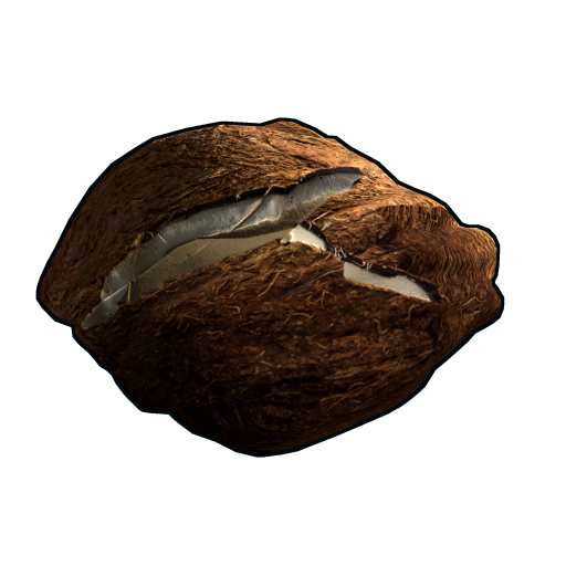 Rock