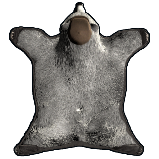 Rug Bear Skin