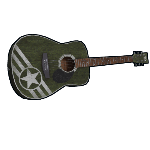 Acoustic Guitar