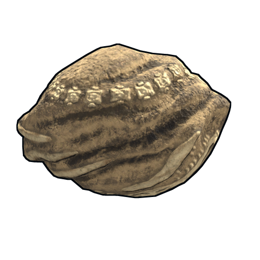 Rock