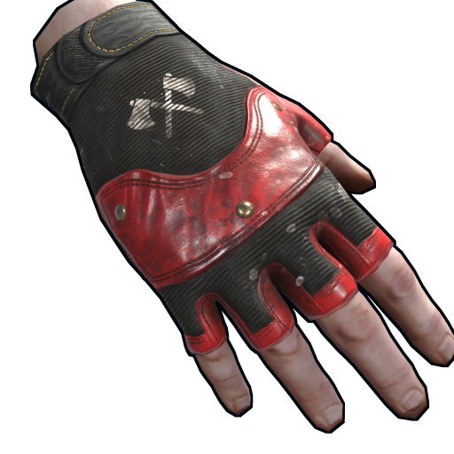 Leather Gloves