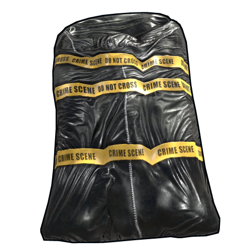 Sleeping Bag