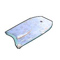 Shark in Rust