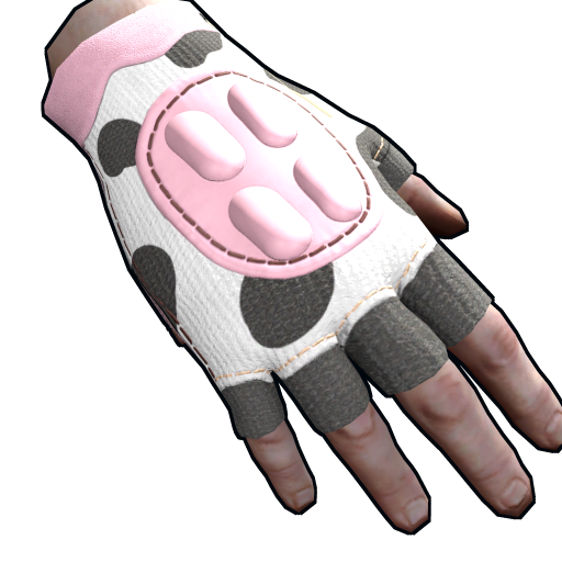 Leather Gloves