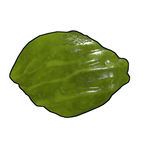 Rock