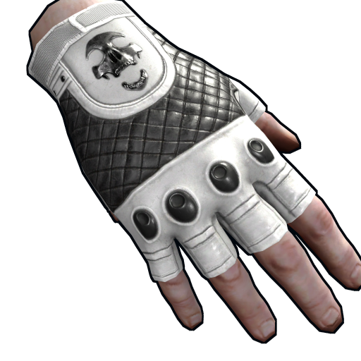 Leather Gloves