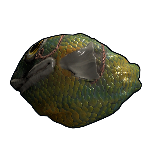 Rock