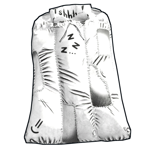 Sleeping Bag