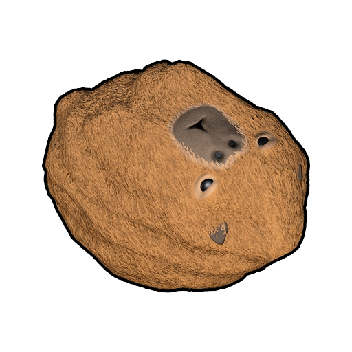 Rock