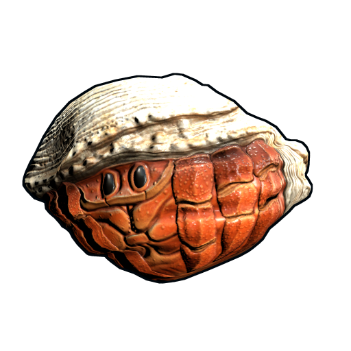 Rock