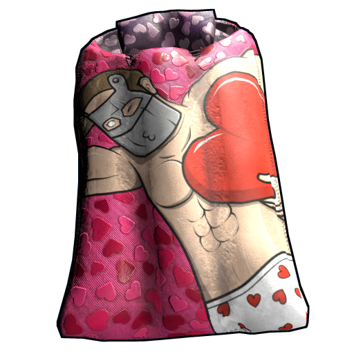 Sleeping Bag