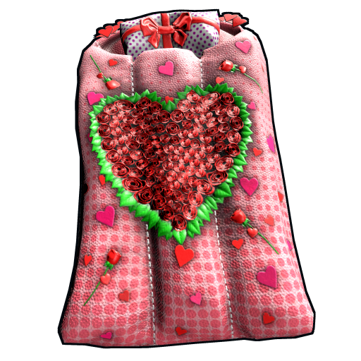 Sleeping Bag