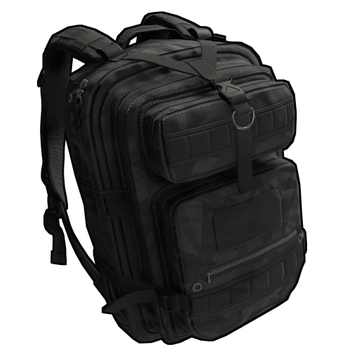 Large Backpack