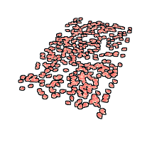 Rose Pedals Rug