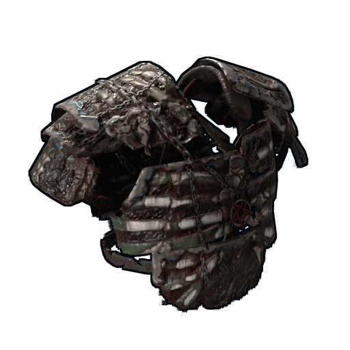 The Awakened Vest