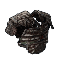 The Awakened Vest