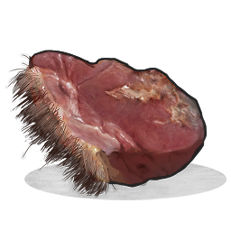 Rohes Bärenfleisch