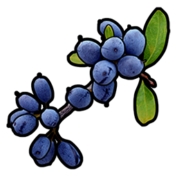 Blaubeere