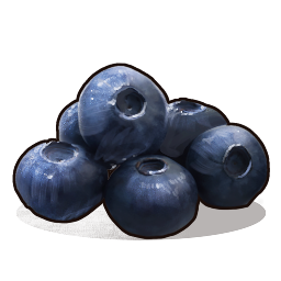 Blueberries
