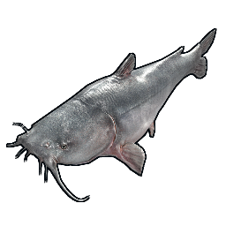 Peixe-gato