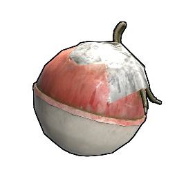 Aparejo de pesca