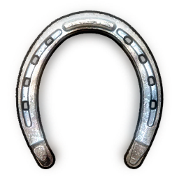 High Quality Horse Shoes