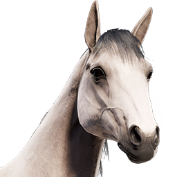 Caballo