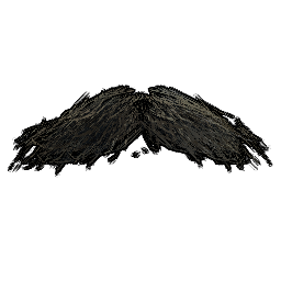 Moustache du Movember