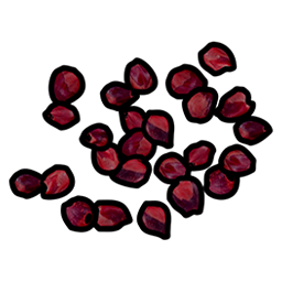 Graine de baie rouge
