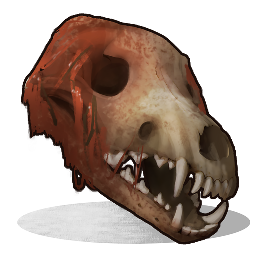 Wolf Skull