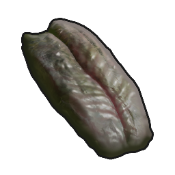 Carne de serpiente podrida