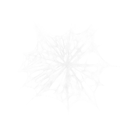 Spinnennetze