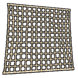 Netting