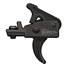 Burst Module